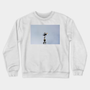 Ahoy Crewneck Sweatshirt